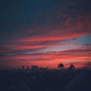 Meet your Posher, Jaden